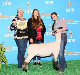 Reserve Champion Hamp Ewe 2019 Houston Livestock Show & Rodeo