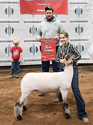 Champion WFX Ewe  2020 The Scoop Ring A