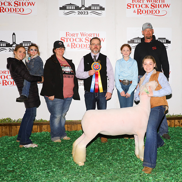 Champion Dorset Ewe 2023 Ft. Worth Stock Show